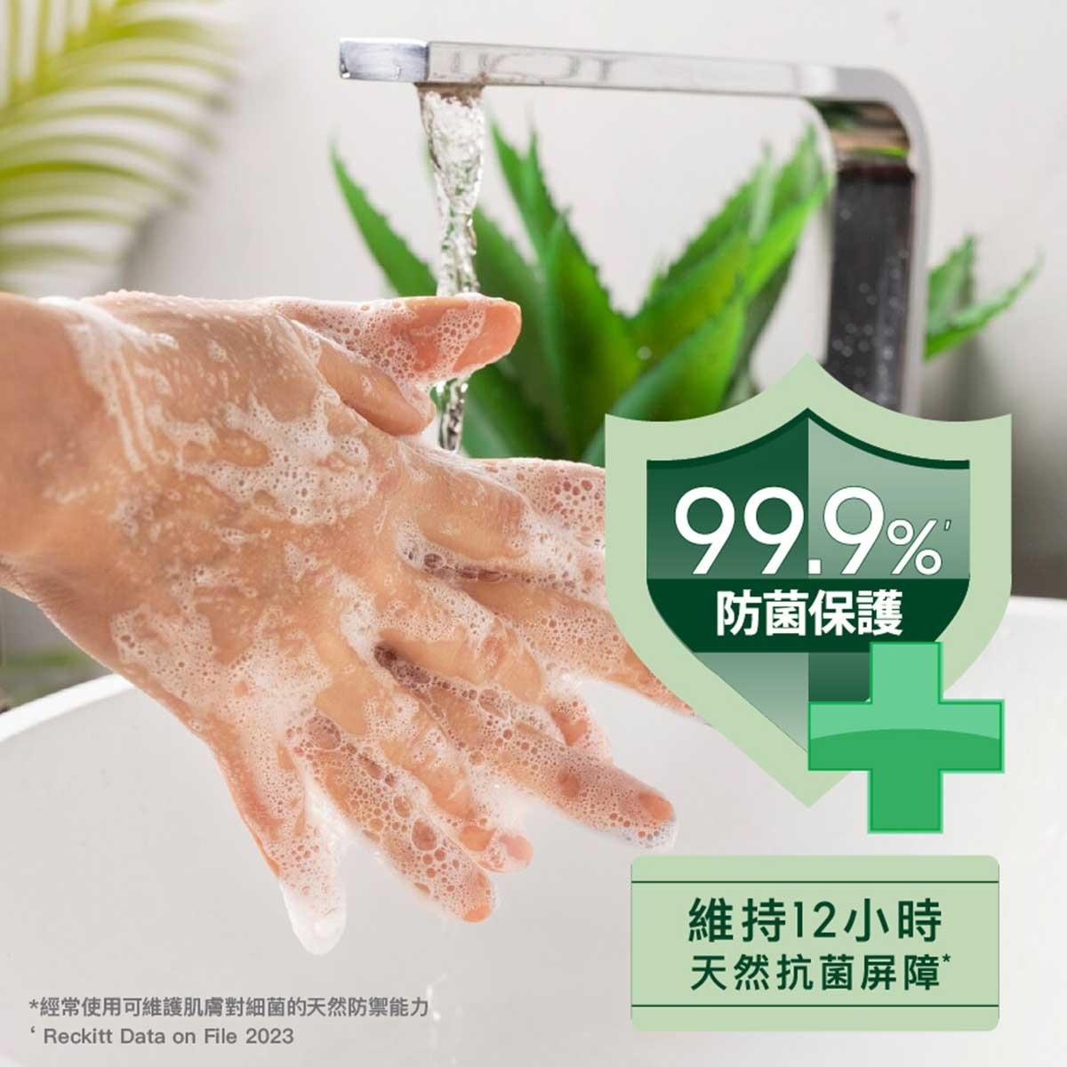 滴露經典松木潔手液3支裝| PNS網購