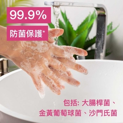 DETTOL Dettol Antibacterial Skincare Hand Wash 500g Tripack