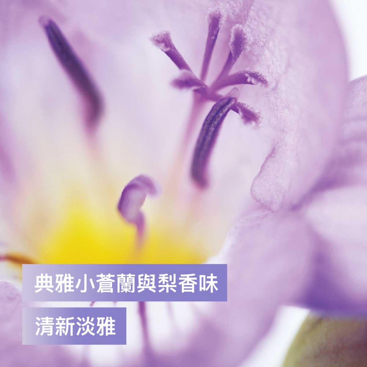 滴露 小蒼蘭花香與滋潤蜜梨 950g