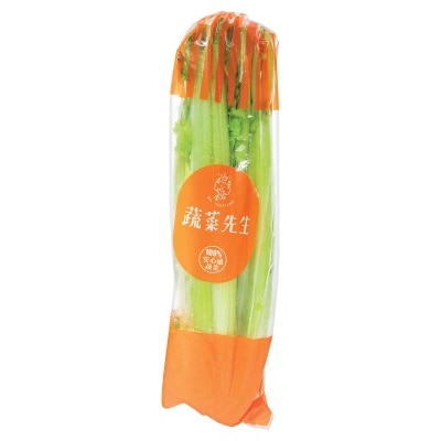 MR. VEGETABLE Celery