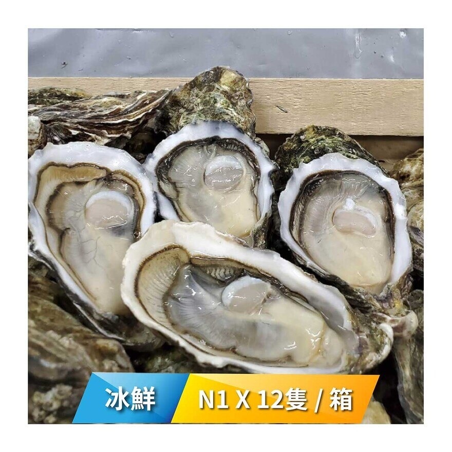 HUITRES LAMBERT 法國 林柏特(Speciales Lambert) 原箱新鮮生蠔產地直送【OFLA】 N1  12隻裝1箱 [法國](冷凍 0-4°C)(*商戶直送.買滿$550，即免運費)