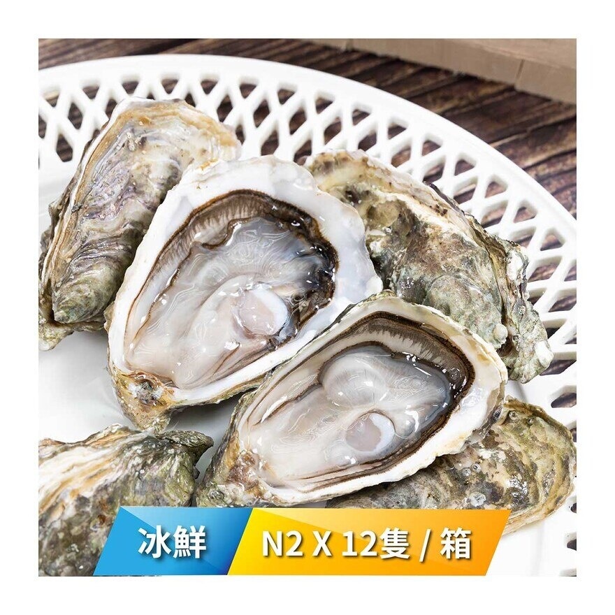 HUITRES LAMBERT 法國 芬大奇(Fine de Claire) 原箱新鮮生蠔產地直送【OFFD】 N2  12隻裝1箱 [法國](冷凍 0-4°C)(*商戶直送.買滿$550，即免運費)