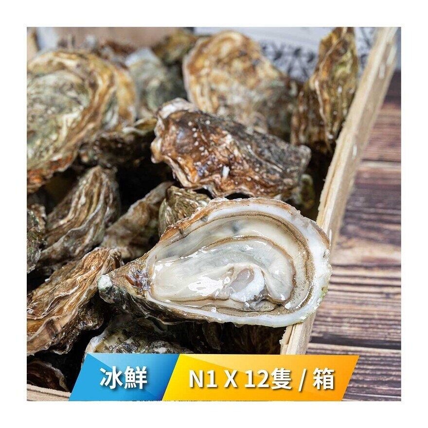 HUITRES LAMBERT France Raw Case Oyster(special De Claire)【ofsd】 N1 X 12 Pc / Box[france](chilled 0-4°c)(*supplier Direct. Buy Over $550, Free Delivery) 