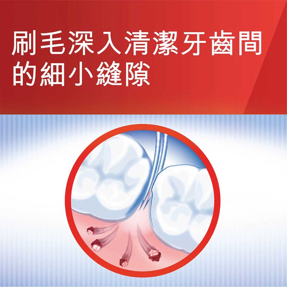 高露潔 高露潔纖柔雙效潔淨牙刷超精巧頭3支裝