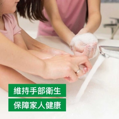 滴露 持久舒爽殺菌潔手液 ５００克