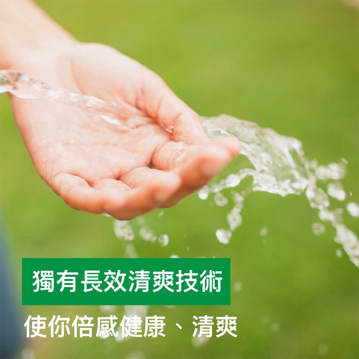 滴露 持久舒爽殺菌潔手液 ５００克