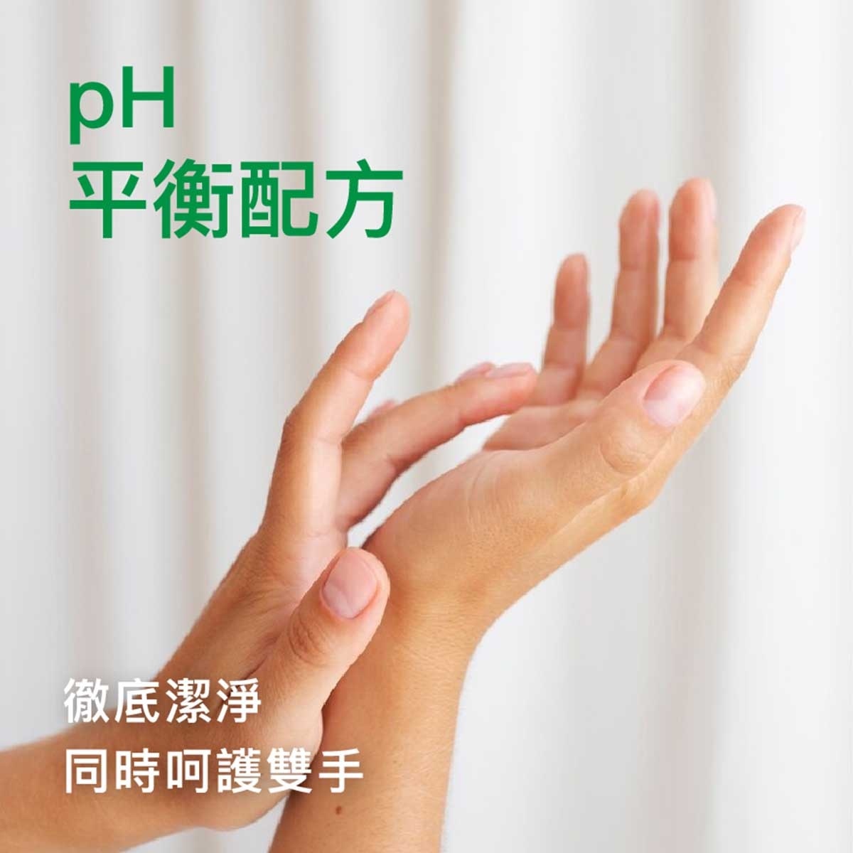 滴露 持久舒爽殺菌潔手液 ５００克