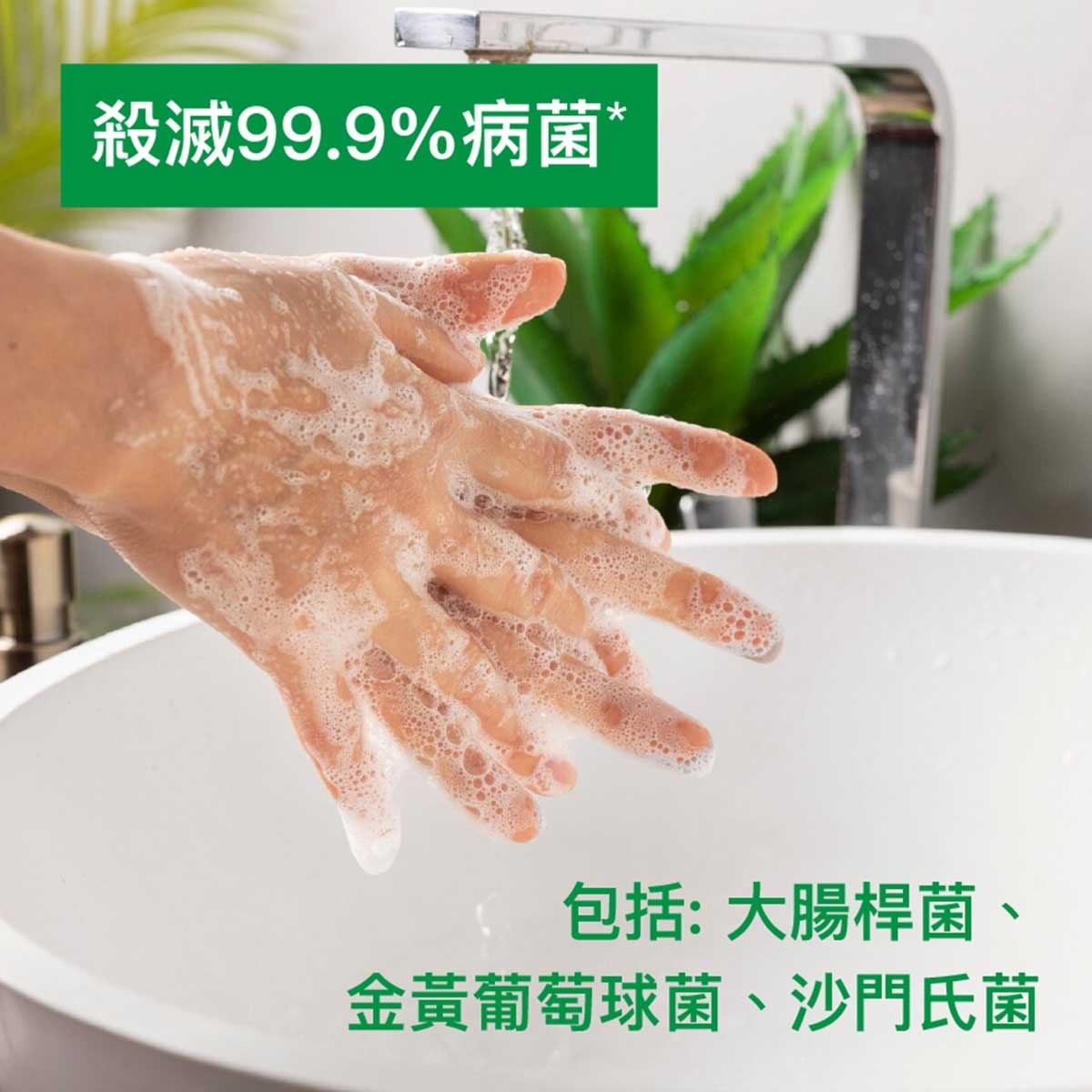 滴露 持久舒爽殺菌潔手液 ５００克