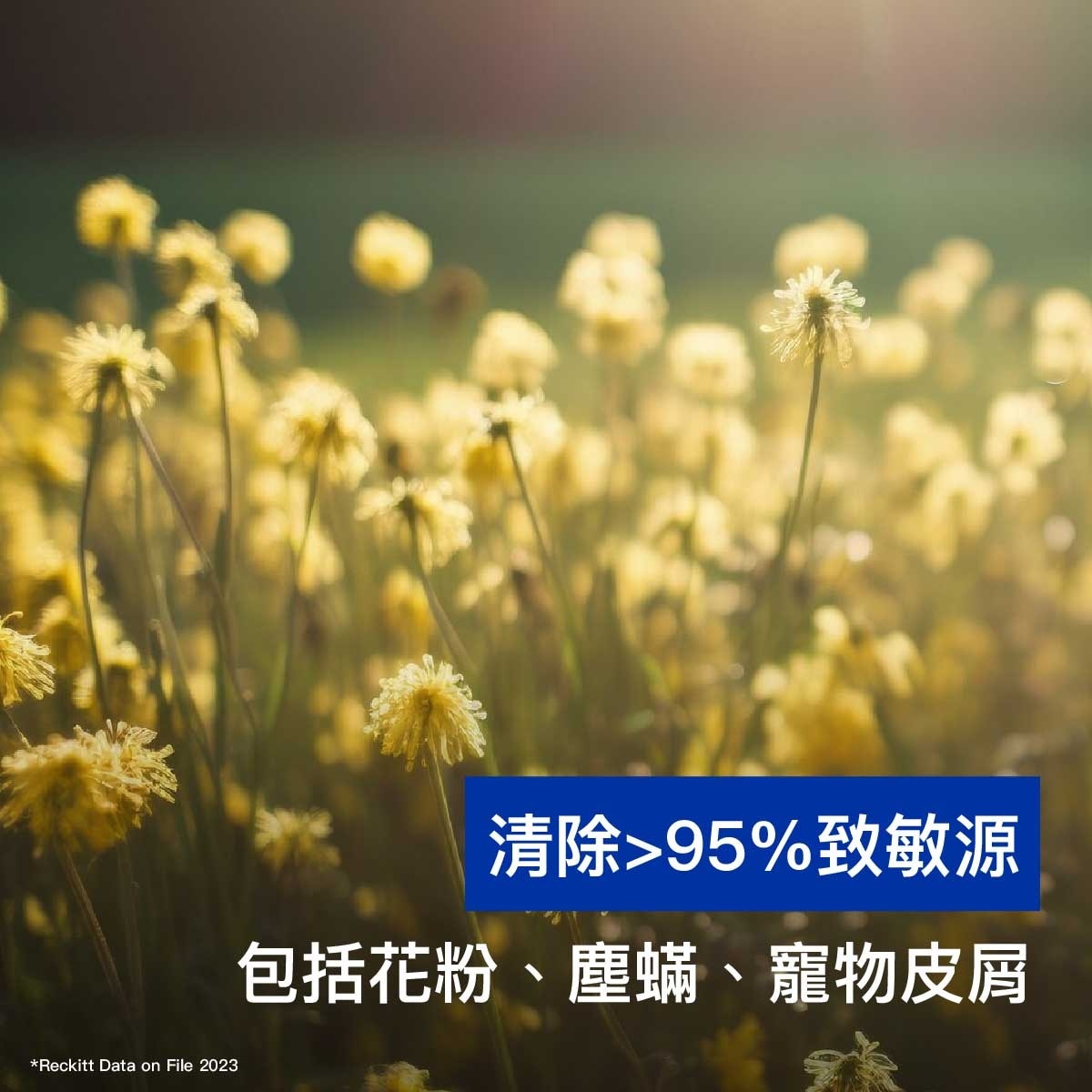 來舒 來舒消毒濕巾檸檬微風味80片x6(原箱) (新舊包裝隨機發送)