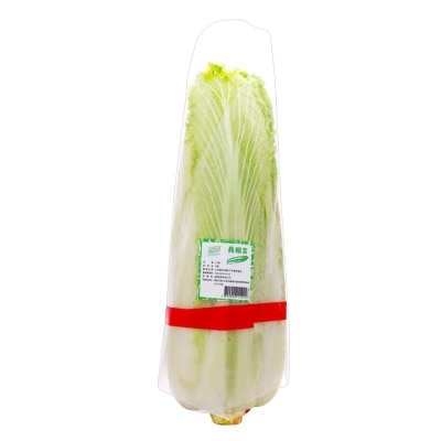 Jumbo Long Cabbage (china)