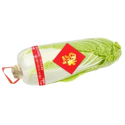 Jumbo Long Cabbage (china)