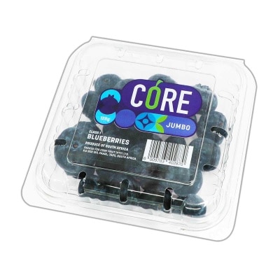 CORE 大裝藍莓