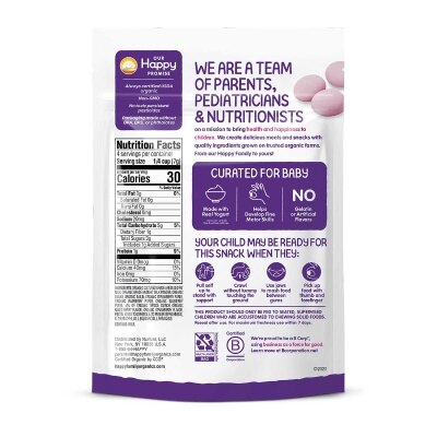 HAPPY FAMILY Happybaby Blueberry & Purple Carrot Greek Yogis 28g