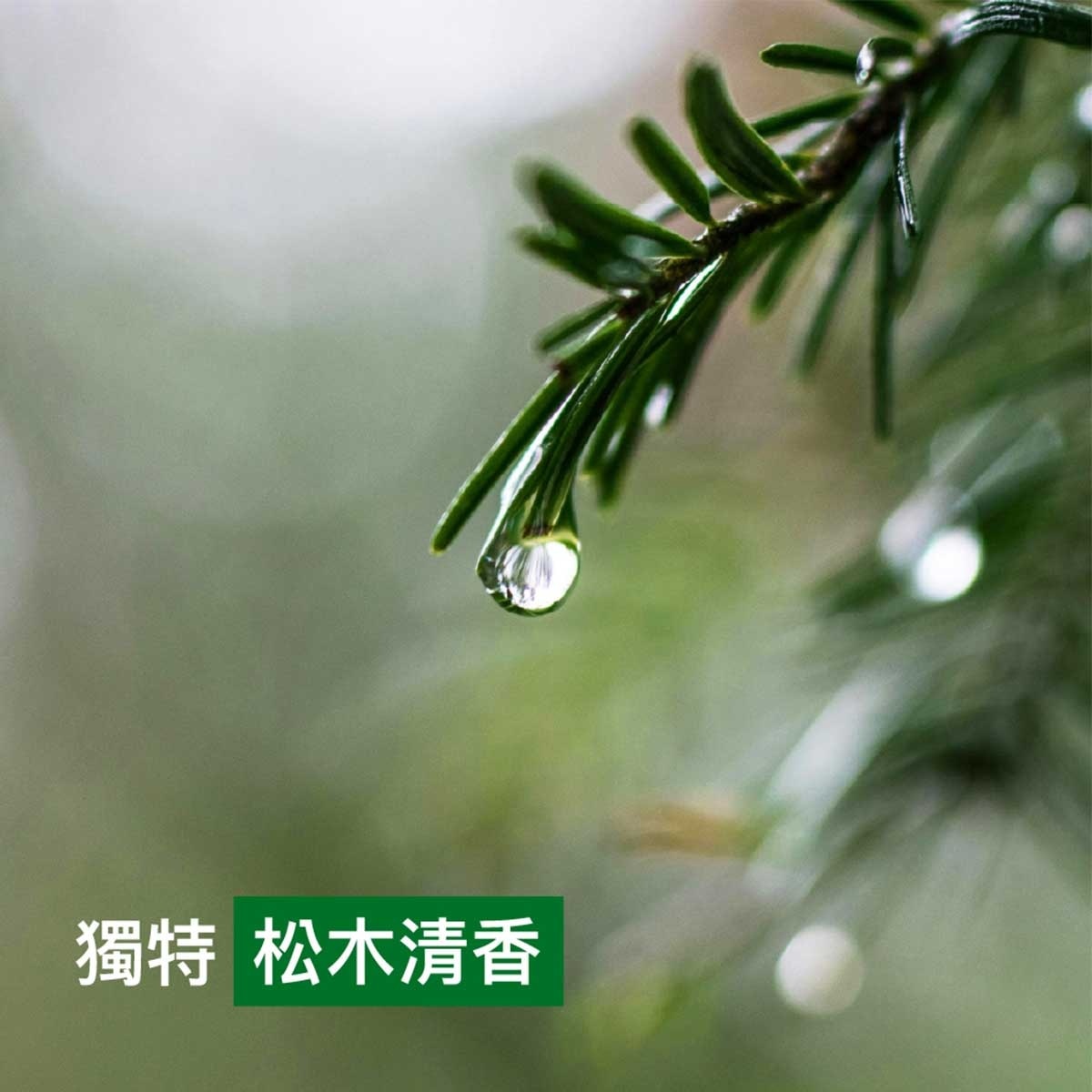 滴露 酒精搓手液(款式隨機送出)