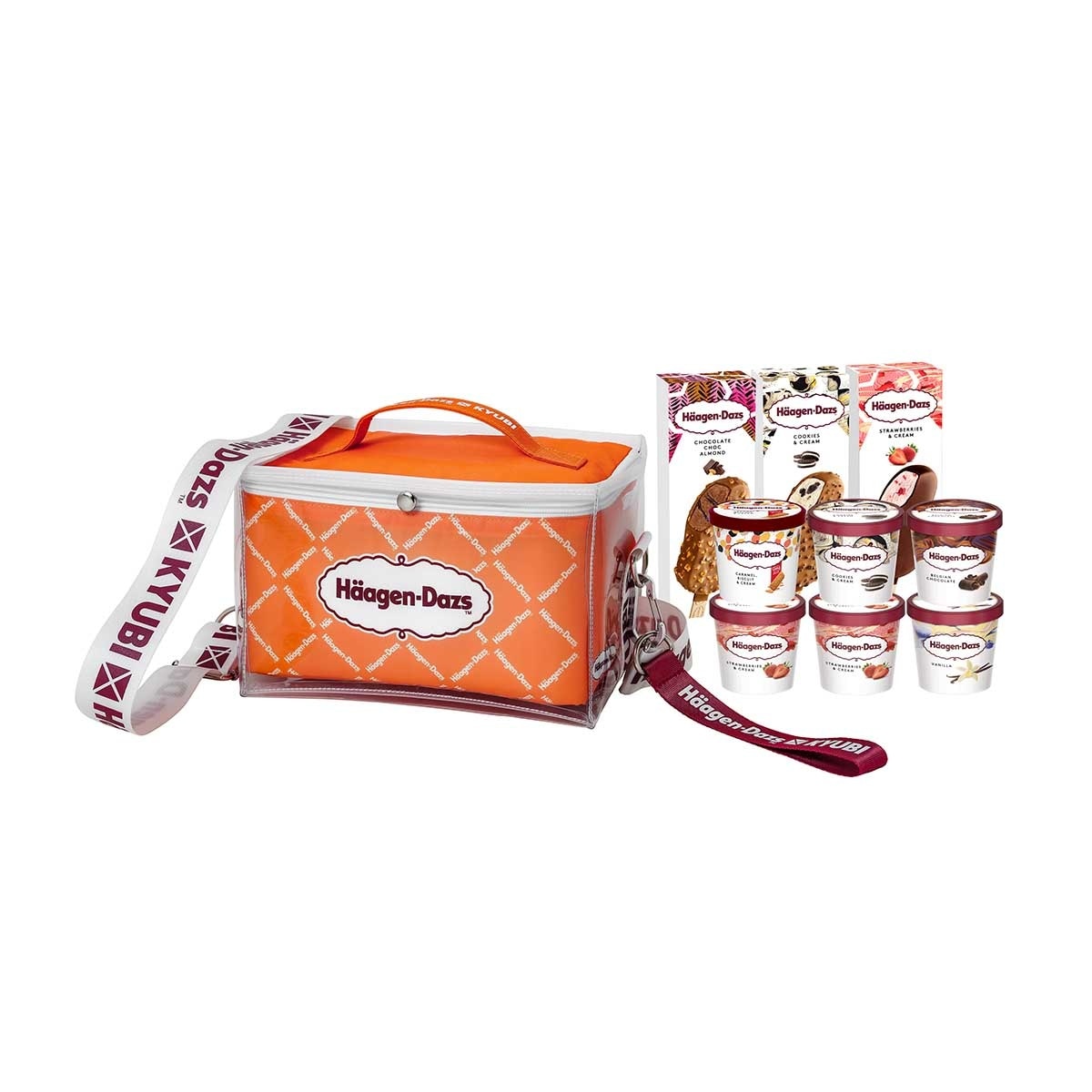 HAAGEN-DAZS 2024 Classic Ice Cream Party Set