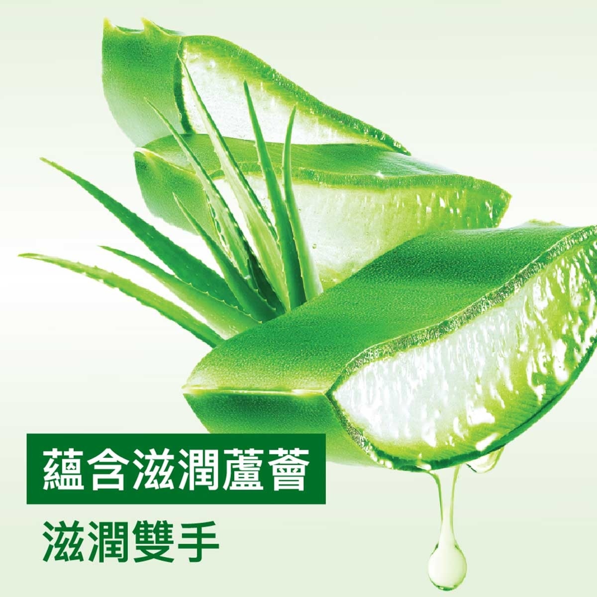 滴露 滴露蘆薈酒精搓手液