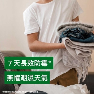 滴露 衣物消毒劑檸檬味優惠裝 (贈品隨機發送) (新舊包裝隨機發送)