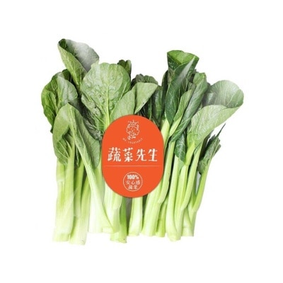 MR. VEGETABLE Prepack Choi Sum (china) image