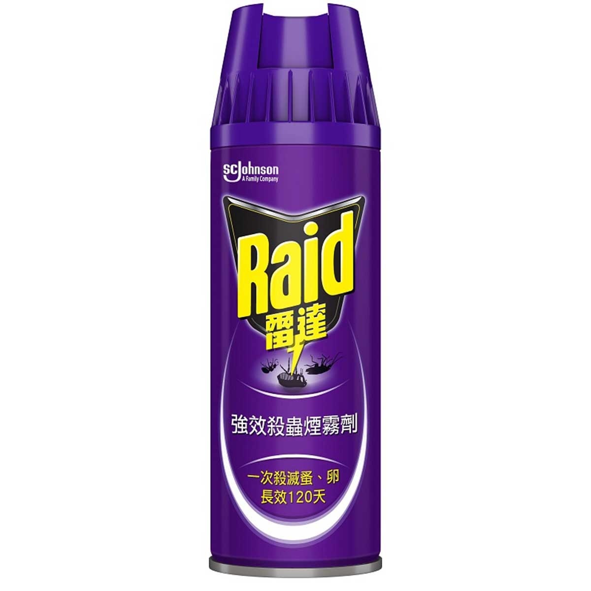 RAID Flea Fogger