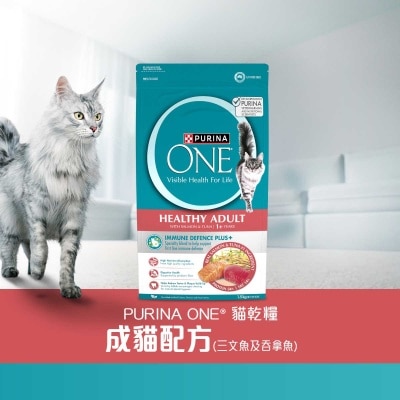 ONE - One Tnslbl Cat Salmon