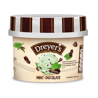 DREYER'S Grand Mint Flv Choc Chip Ice Cream