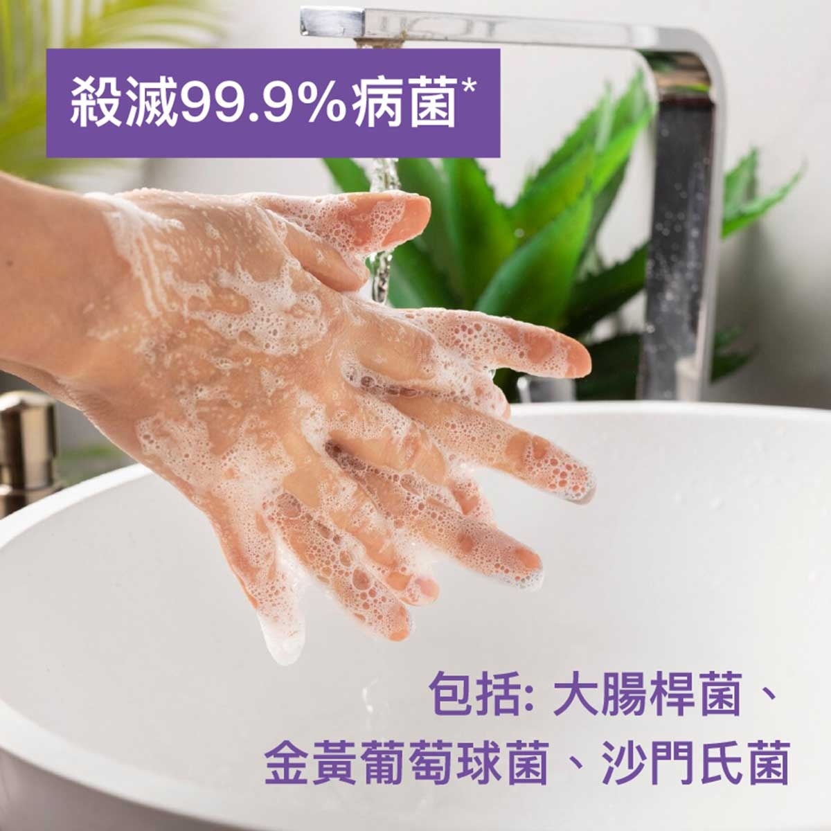 滴露 敏感肌膚潔手液３支裝