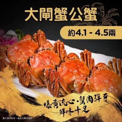 江蘇大閘蟹 大閘蟹公蟹約4.1 - 4.5兩(*商戶直送，買滿$900即免運費)