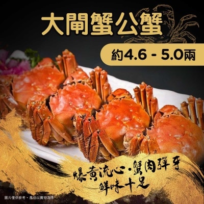 江蘇大閘蟹 大閘蟹公蟹約4.6 - 5.0兩(*商戶直送，買滿$900即免運費)