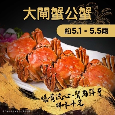 江蘇大閘蟹 大閘蟹公蟹約5.1 - 5.5兩(*商戶直送，買滿$900即免運費)