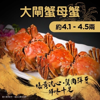 江蘇大閘蟹 大閘蟹母蟹約4.1 - 4.5兩(*商戶直送，買滿$900即免運費)