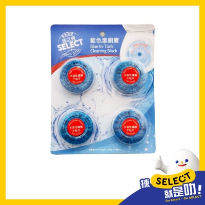SELECT Blue In tank Cleaning Block image