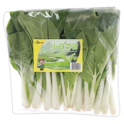 蜜語 - 小白菜苗