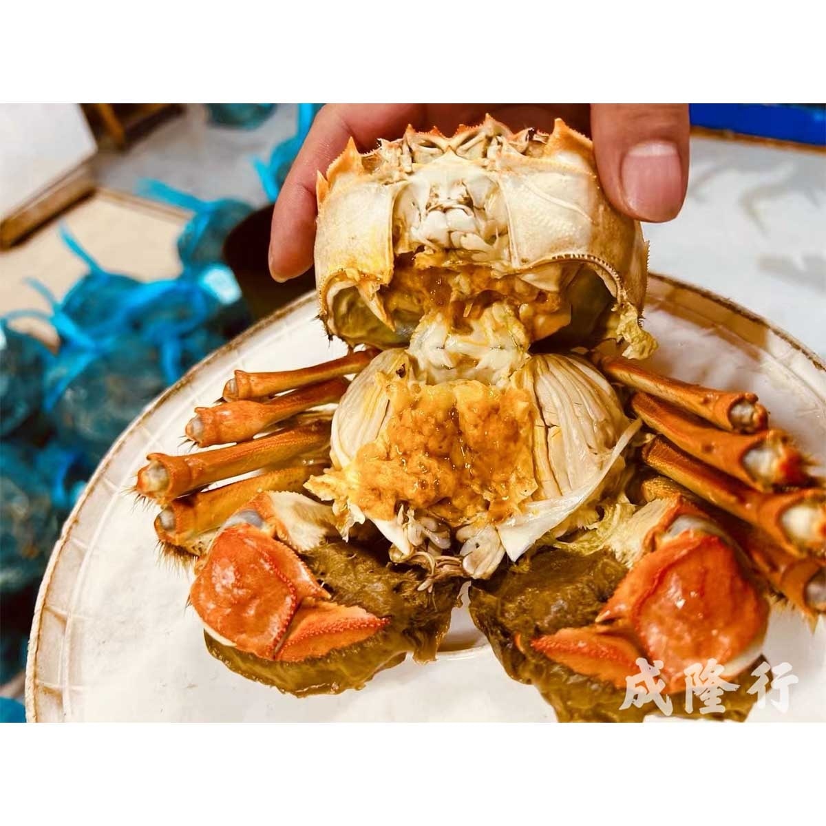 SHING LUNG HONG Hairy Crab Male (4.5 - 5 Tael)(*supplier Direct.buy Over $600, Free Delivery)