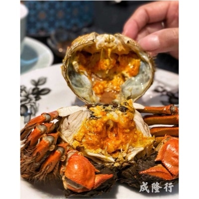 SHING LUNG HONG Hairy Crab Female (3.5 - 4 Teal)