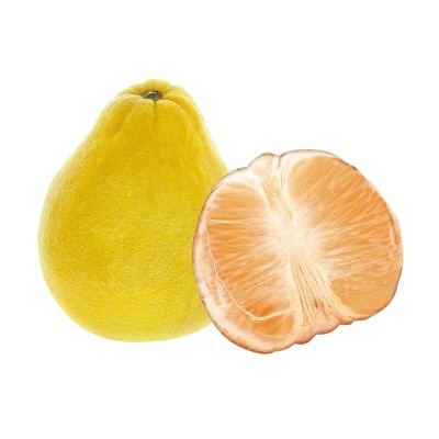 沙田柚（中國）