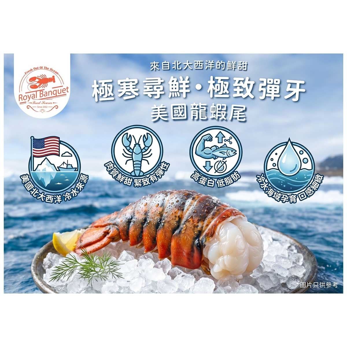 急凍美國野生龍蝦尾（２條裝） [美國] (急凍-18°c )