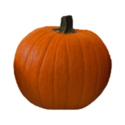 Halloween Pumpkin Medium image