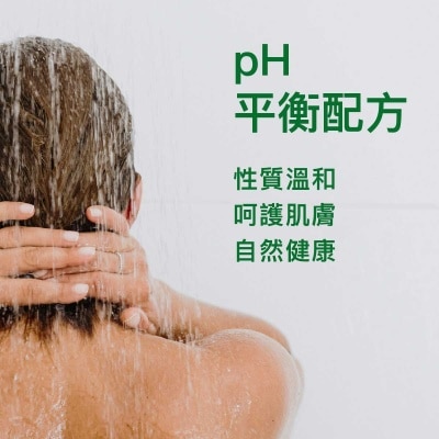 DETTOL Pine Bath Refill 800g