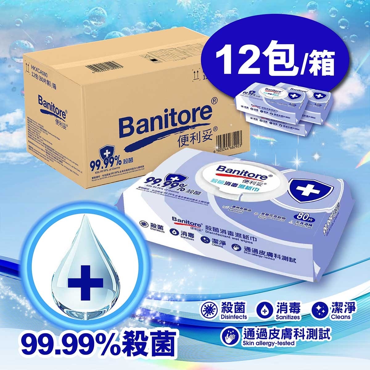 BANITORE Disinfectant Wet Wipes (case)