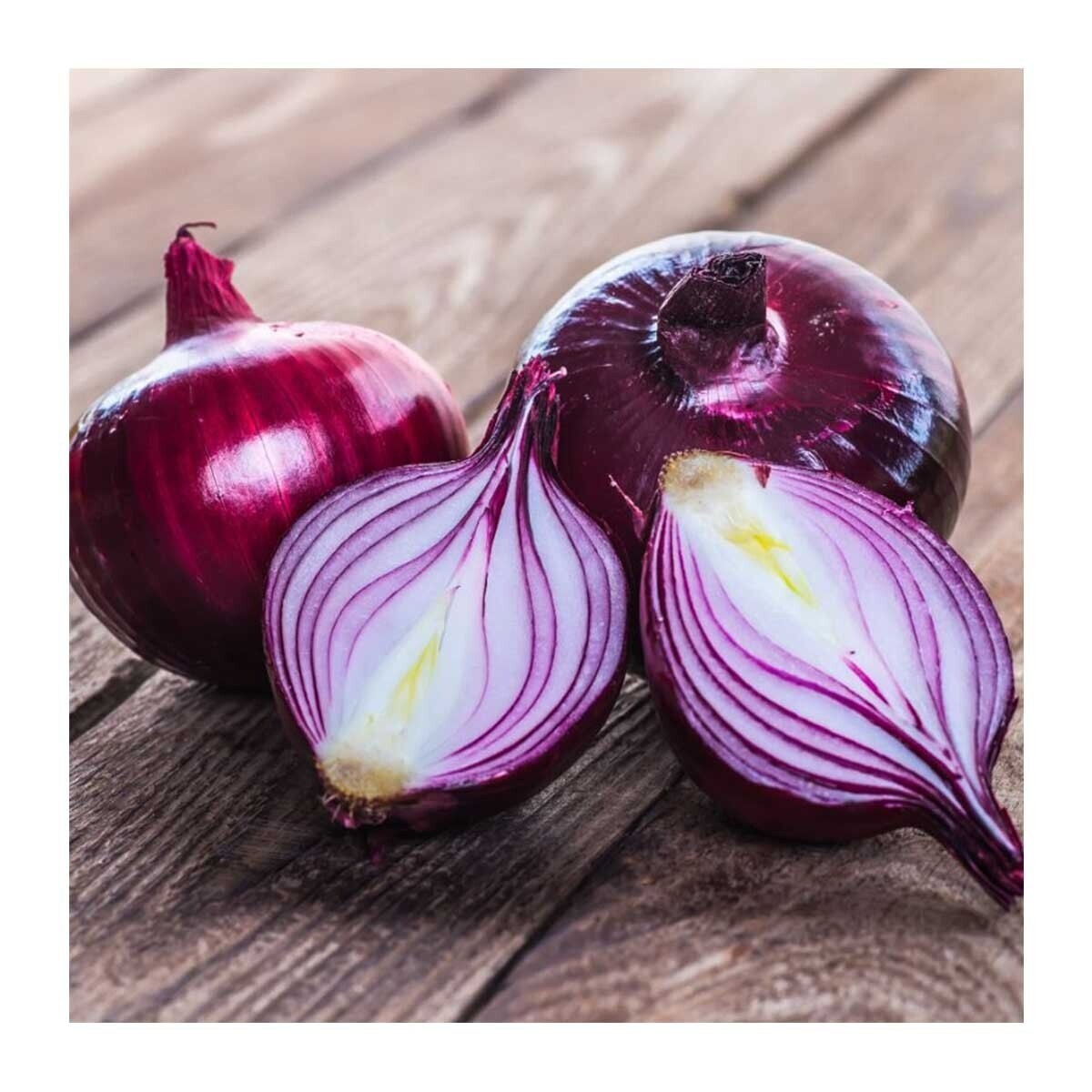 MR VEGETABLE Red Onion (china)