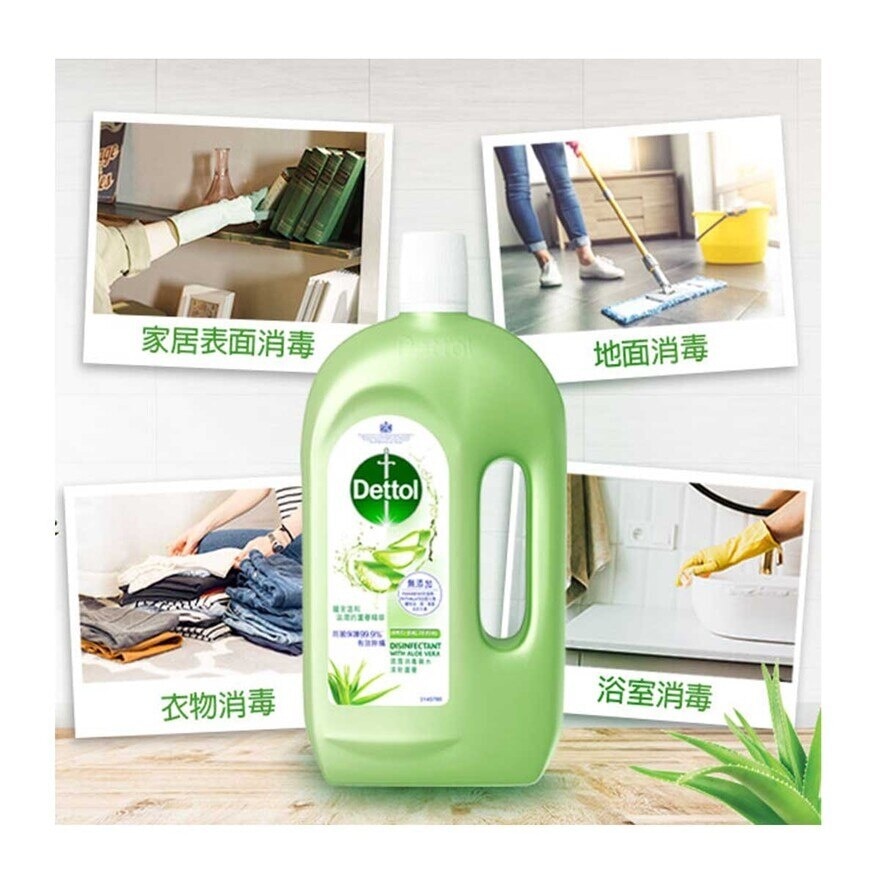 DETTOL Dettol Antiseptic Liquid Aloe Vera 1l Tp + Hand Wash 250g