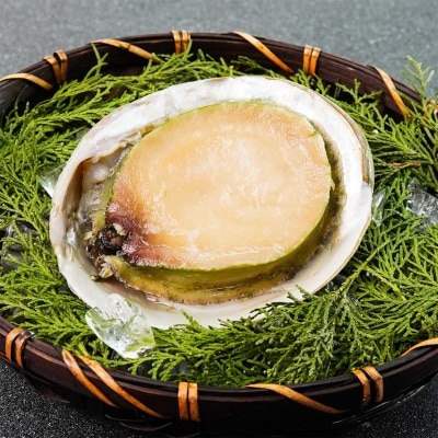 PHOEBUS SELECTION Frozen Wild grown On Shell Greenlip Abalone (frozen 18°c) image