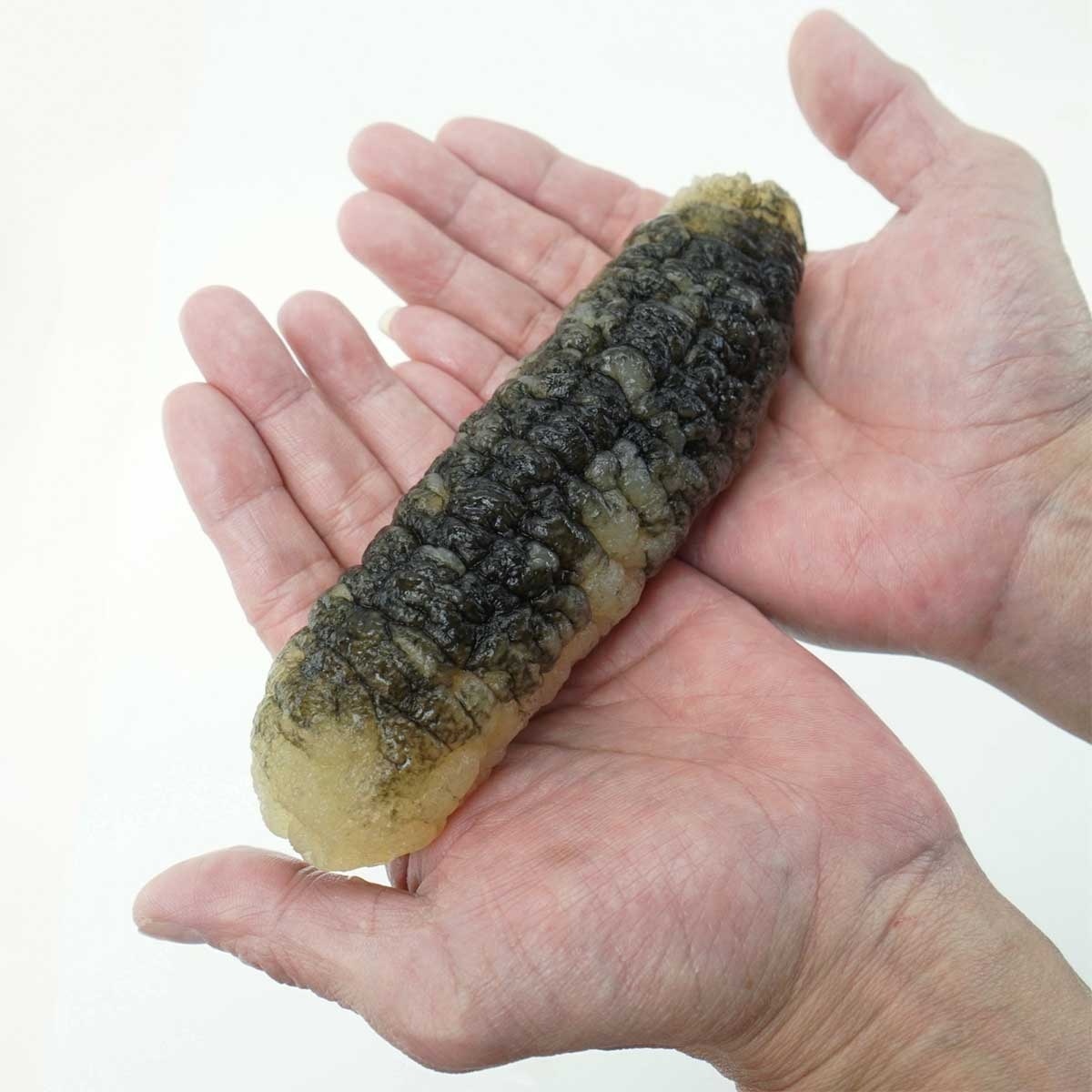 FRESH ITEM 急凍澳洲禿參 (急凍 18°C) image