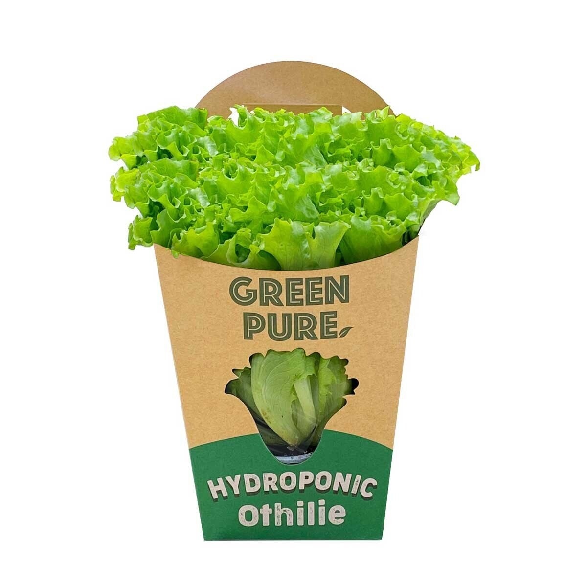 Pure Hydropinic Othilie Lettuce 150g