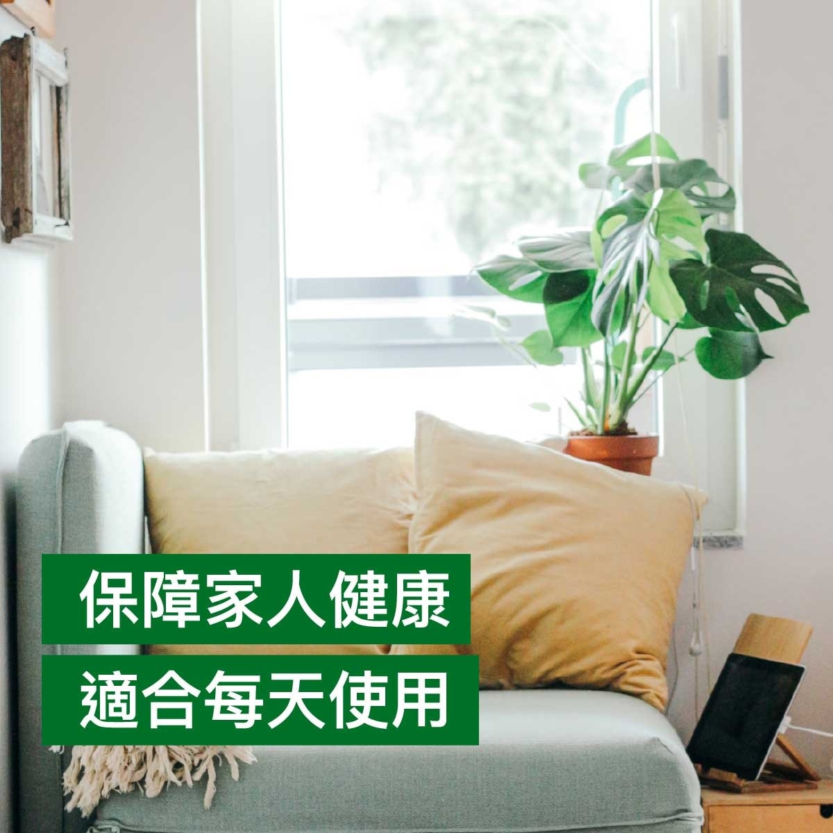 滴露 滴露經典松木沐浴露950克