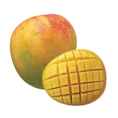 Large R2e2 Mango (vietnam)