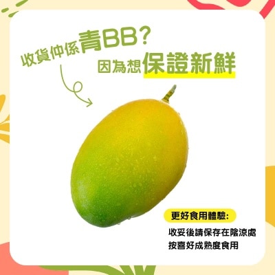 玉芒