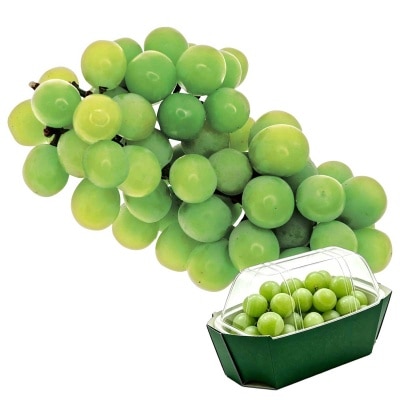 Shine Muscat Grape (china)