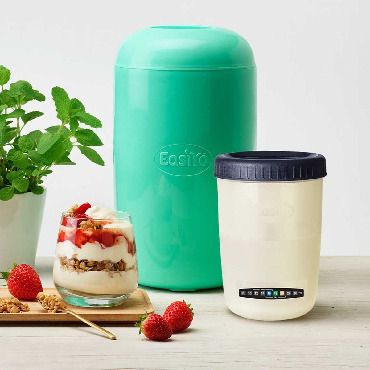 EASIYO 乳酪製作器