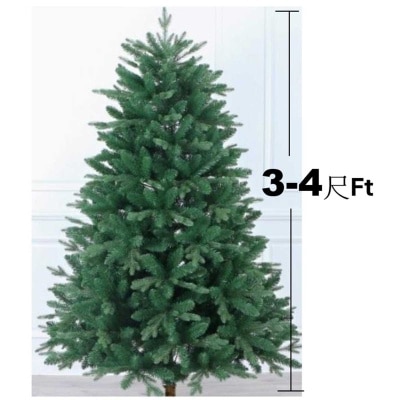 3-4'H NOBLE FIR CHRISTMAS TREE (PLAIN) 